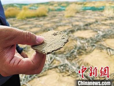 生物矿化固沙技术在国内..应用